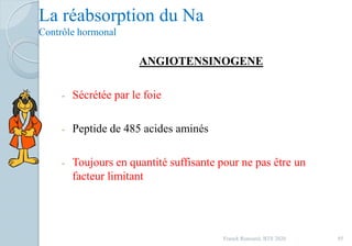 La réabsorption du Na
Contrôle hormonal
ANGIOTENSINOGENE
- Sécrétée par le foie
- Peptide de 485 acides aminés
- Toujours en quantité suffisante pour ne pas être un
facteur limitant
95Franck Rencurel, BTS 2020
 