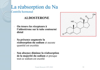 La réabsorption du Na
Contrôle hormonal
ALDOSTERONE
- On trouve les récepteurs à
l’aldostérone sur le tube contourné
distal
- Sa présence augmente la
réabsorption du sodium et aucune
quantité est excrétée
- Son absence diminue la réabsorption
de la majorité du sodium et presque
tout ce sodium est excrété
99Franck Rencurel, BTS 2020
 