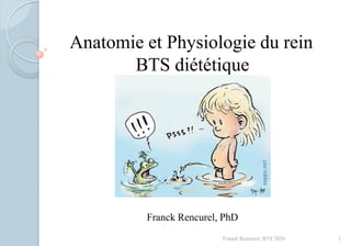 Anatomie et Physiologie du rein
BTS diététique
Franck Rencurel, PhD
1Franck Rencurel, BTS 2020
 