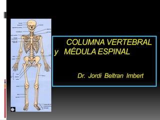 COLUMNA VERTEBRAL
y MÉDULA ESPINAL

    Dr. Jordi Beltran Imbert
 