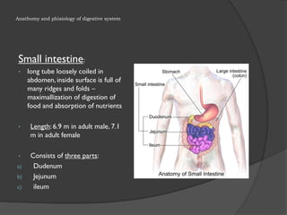 Anathomy-and-phisiology-of-digestive-system-final.pdf
