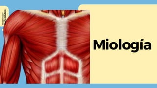 Miología
OLIVIA
WILSON
PRESENTED
BY
 