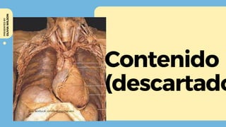 Contenido
(descartado
OLIVIA
WILSON
PRESENTED
BY
 