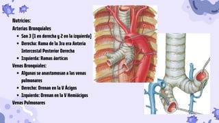 Son 3 (1 en derecha y 2 en la izquierda)
Derecha: Rama de la 3ra era Anteria
Intercostal Posterior Derecha
Izquierda: Ramas áorticas
Algunas se anastomosan a las venas
pulmonares
Derecho: Drenan en la V Ácigos
Izquierdo: Drenan en la V Hemiácigos
Nutricios:
Arterias Bronquiales
Venas Bronquiales:
Venas Pulmonares
 