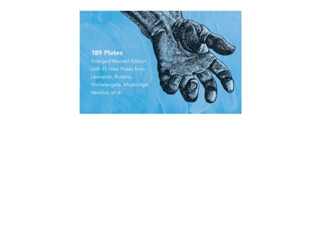 Full Book An Atlas Of Anatomy For Artists Dover Anatomy For Artist Full Book An Atlas Of Anatomy For Artists Dover Anatomy For Artist