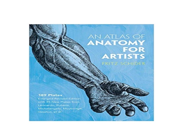 Download P D F Library An Atlas Of Anatomy For Artists Dover Anatom
