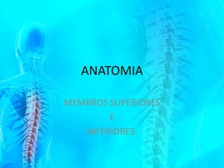 ANATOMIA
MEMBROS SUPERIORES
E
INFERIORES.
 