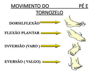 MOVIMENTO DO PÉ E
TORNOZELO
DORSILFLEXÃO
FLEXÃO PLANTAR
INVERSÃO (VARO )
EVERSÃO ( VALGO)
 