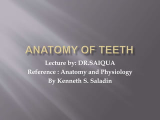 Lecture by: DR.SAIQUA
Reference : Anatomy and Physiology
By Kenneth S. Saladin
 