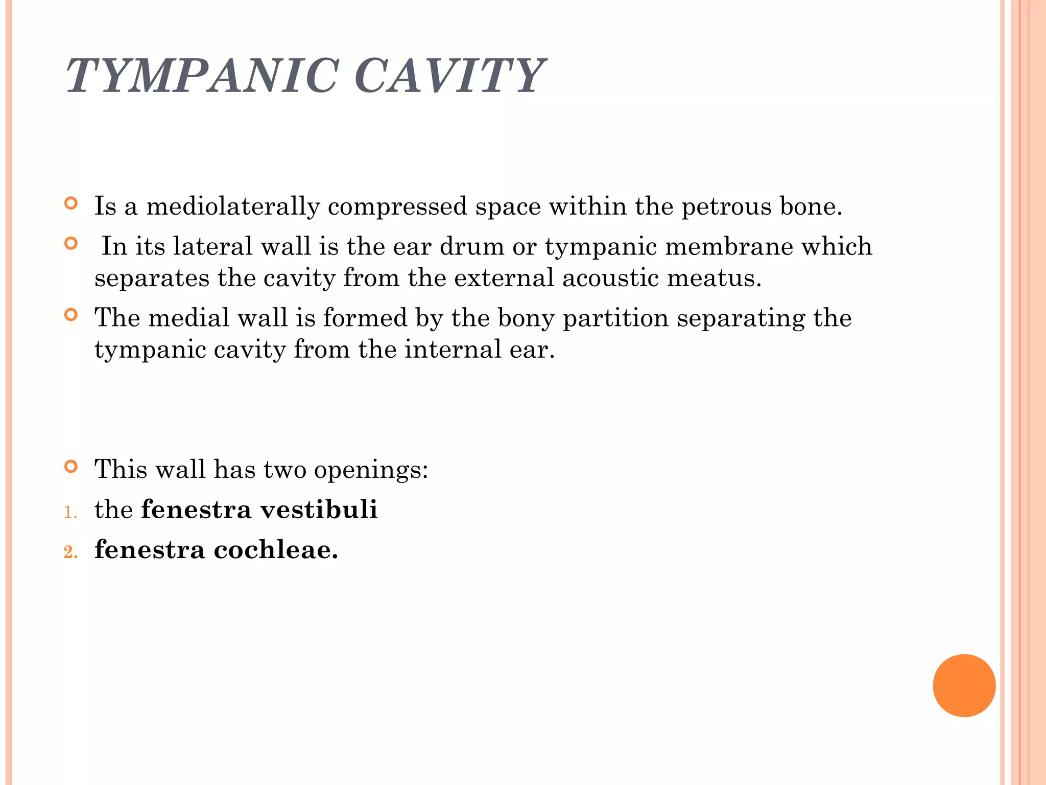 TYMPANIC CAVITY
 Is a mediolaterally compressed space within the petrous bone.
 In its lateral wall is the ear drum or tympanic membrane which
separates the cavity from the external acoustic meatus.
 The medial wall is formed by the bony partition separating the
tympanic cavity from the internal ear.
 This wall has two openings:
1. the fenestra vestibuli
2. fenestra cochleae.
 