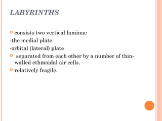 Anatomy(1) Osteology | PPT