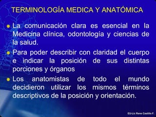 TERMINOLOGÍA MEDICA Y ANATÓMICA<br />La comunicación clara es esencial en la Medicina clínica, odontología y ciencias de l...