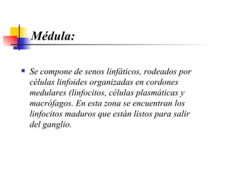 Médula: Se compone de senos linfáticos, rodeados por células linfoides organizadas en cordones medulares (linfocitos, células plasmáticas y macrófagos.  En esta zona se encuentran los linfocitos maduros que están listos para salir del ganglio. 