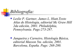 Bibliografia: Leslie P. Gartner, James L. Hiatt,Texto Atlas de Histologia, editorial Mc Graw Hill 2da edición, 2001. Philadelphia, Pennsylvania. Pags:273-287. Junqueira y Carneiro, Histología Básica, editorial Masson 5ta. edición, 2001. Barcelona, España. Pags: 268-280. 