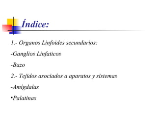 Índice: 1.- Organos Linfoides secundarios: -Ganglios Linfaticos -Bazo 2.- Tejidos asociados a aparatos y sistemas -Amígdalas Palatinas 