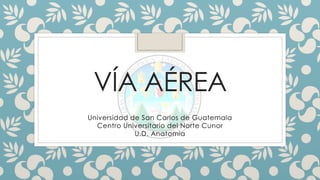 VÍA AÉREA
Universidad de San Carlos de Guatemala
Centro Universitario del Norte Cunor
U.D. Anatomia
 