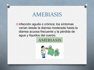 AMEBIASIS
O infección aguda o crónica; los síntomas
varían desde la diarrea moderada hasta la
diarrea acuosa frecuente y la pérdida de
agua y líquidos del cuerpo.
 
