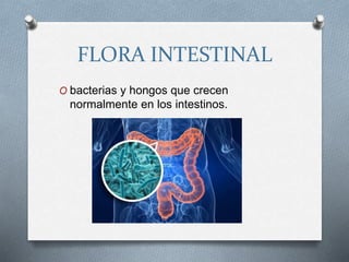 FLORA INTESTINAL
O bacterias y hongos que crecen
normalmente en los intestinos.
 