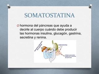 SOMATOSTATINA
O hormona del páncreas que ayuda a
decirle al cuerpo cuándo debe producir
las hormonas insulina, glucagón, gastrina,
secretina y renina.
 