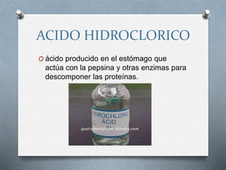 ACIDO HIDROCLORICO
O ácido producido en el estómago que
actúa con la pepsina y otras enzimas para
descomponer las proteínas.
 