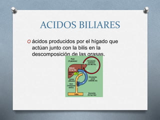 ACIDOS BILIARES
O ácidos producidos por el hígado que
actúan junto con la bilis en la
descomposición de las grasas.
 