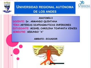 UNIVERSIDAD REGIONAL AUTÓNOMA
DE LOS ANDES
ANATOMÍA II
DOCENTE: Dr. ARMANDO QUINTANA
TEMA:ARTERIAS DIAFRAGMATICAS INFERIORES
ESTUDIANTE: MISHEL CAROLINA TOAPANTA VINCES
SEMESTRE: SEGUNDO ‘‘A’’
AMBATO - ECUADOR
 