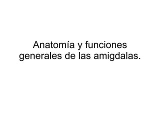 Anatomía y funciones generales de las amigdalas. 