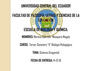 UNIVERSIDAD CENTRAL DEL ECUADOR

FACULTAD DE FILOSOFÍA, LETRAS Y CIENCIAS DE LA
                 EDUCACIÓN

        ESCUELA DE BIOLOGÍA Y QUÍMICA.
      NOMBRES: Moreno Gabriela- Mosquera Magaly

     CURSO: Tercer Semestre “A” Biología Pedagógica

                TEMA: Sistema Urogenital

              FECHA DE ENTREGA: 14-12-10
 