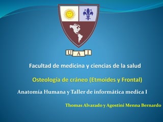Anatomía Humana y Taller de informática medica I
Facultad de medicina y ciencias de la salud
Thomas Alvarado y Agostini Menna Bernardo
 
