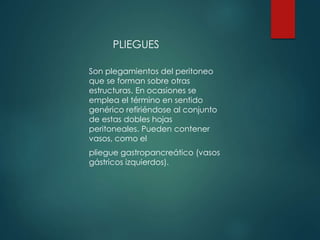 PLIEGUES
Son plegamientos del peritoneo
que se forman sobre otras
estructuras. En ocasiones se
emplea el término en sentido
genérico refiriéndose al conjunto
de estas dobles hojas
peritoneales. Pueden contener
vasos, como el
pliegue gastropancreático (vasos
gástricos izquierdos).
 