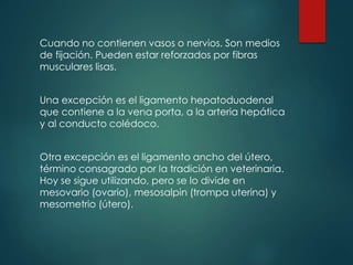 Cuando no contienen vasos o nervios. Son medios
de fijación. Pueden estar reforzados por fibras
musculares lisas.
Una excepción es el ligamento hepatoduodenal
que contiene a la vena porta, a la arteria hepática
y al conducto colédoco.
Otra excepción es el ligamento ancho del útero,
término consagrado por la tradición en veterinaria.
Hoy se sigue utilizando, pero se lo divide en
mesovario (ovario), mesosalpin (trompa uterina) y
mesometrio (útero).
 