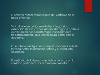 El omento menor forma el piso del vestíbulo de la
bolsa omental.
Se lo divide en un ligamento hepatogástrico,
extendido desde la cara visceral del hígado hasta la
curvatura menor del estómago y un ligamento
hepatoduodenal, que une la cisura portal con el
duodeno.
En el interior del ligamento hepatoduodenal se halla
la vena porta, la arteria hepática y el conducto
colédoco.
El vestíbulo de la bolsa omental comunica con la
cavidad peritoneal por el foramen omental.
 