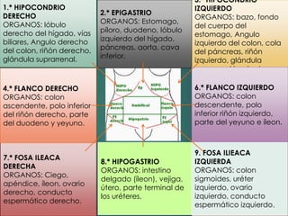 3.* HIPOCONDRIO
IZQUIERDO
ORGANOS: bazo, fondo
del cuerpo del
estomago, Angulo
izquierdo del colon, cola
del páncreas, riñón
izquierdo, glándula
suprarenal izquierda.
1.* HIPOCONDRIO
DERECHO
ORGANOS: lóbulo
derecho del hígado, vías
biliares, Angulo derecho
del colon, riñón derecho,
glándula suprarrenal.
7.* FOSA ILEACA
DERECHA
ORGANOS: Ciego,
apéndice, íleon, ovario
derecho, conducto
espermático derecho.
9. FOSA ILIEACA
IZQUIERDA
ORGANOS: colon
sigmoides, uréter
izquierdo, ovario
izquierdo, conducto
espermático izquierdo.
2.* EPIGASTRIO
ORGANOS: Estomago,
píloro, duodeno, lóbulo
izquierdo del hígado,
páncreas, aorta, cava
inferior.
6.* FLANCO IZQUIERDO
ORGANOS: colon
descendente, polo
inferior riñón izquierdo,
parte del yeyuno e íleon.
4.* FLANCO DERECHO
ORGANOS: colon
ascendente, polo inferior
del riñón derecho, parte
del duodeno y yeyuno.
8.* HIPOGASTRIO
ORGANOS: intestino
delgado (íleon), vejiga,
útero, parte terminal de
los uréteres.
 