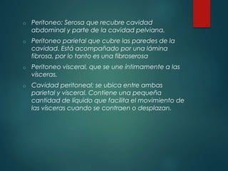 o Peritoneo: Serosa que recubre cavidad
abdominal y parte de la cavidad pelviana.
o Peritoneo parietal que cubre las paredes de la
cavidad. Está acompañado por una lámina
fibrosa, por lo tanto es una fibroserosa
o Peritoneo visceral, que se une íntimamente a las
vísceras.
o Cavidad peritoneal; se ubica entre ambas
parietal y visceral. Contiene una pequeña
cantidad de líquido que facilita el movimiento de
las vísceras cuando se contraen o desplazan.
 