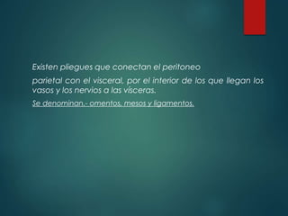Existen pliegues que conectan el peritoneo
parietal con el visceral, por el interior de los que llegan los
vasos y los nervios a las vísceras.
Se denominan.- omentos, mesos y ligamentos.
 