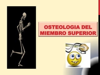 OSTEOLOGIA DEL
MIEMBRO SUPERIOR
 