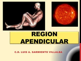 REGION
APENDICULAR
C.D. LUIS A. SARMIENTO VILLALBA
 