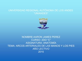 UNIVERSIDAD REGIONAL AUTÓNOMA DE LOS ANDES
“UNIANDES”
NOMBRE:AARON JAMES PEREZ
CURSO: 2DO “C”
ASIGNATURA: ANATOMÍA
TEMA: ARCOS ARTERIALES DE LAS MANOS Y LOS PIES
AÑO LECTIVO
2015
 