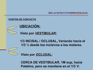 Anato arcos hasta relac interprox | PPT