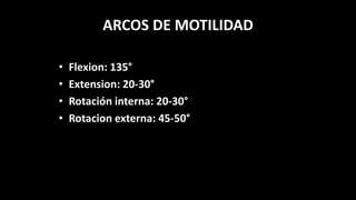 ARCOS DE MOTILIDAD
• Flexion: 135°
• Extension: 20-30°
• Rotación interna: 20-30°
• Rotacion externa: 45-50°
 
