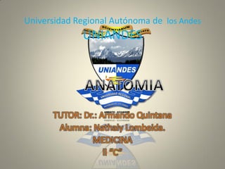 Universidad Regional Autónoma de los Andes
UNIANDES
TUTOR: Dr.: Armando Quintana
Alumna: Nathaly Lombeida.
MEDICINA
ll “C”
 