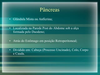 Pâncreas Glândula Mista ou Anfícrina; Localizada na Parede Post do Abdome sob a alça formada pelo Duodeno; Atrás do Estômago em posição Retroperitoneal; Dividido em: Cabeça (Processo Uncinado), Colo, Corpo e Cauda. 