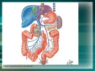 Pâncreas Irrigação Venosa Portal. Netter, 3ª. Ed. Lâmina 302. 