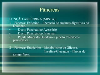Pâncreas FUNÇÃO ANFÍCRINA (MISTA): 1 –  Pâncreas Exócrino  – liberação de enzimas digestivas no Duodeno. Ducto Pancreático Acessório Ducto Pancreático Principal  Papila Maior do Duodeno – junção Colédoco-pancreática. 2 –  Pâncreas Endócrino  – Metabolismo de Glicose. Insulina/Glucagon – Ilhotas de  Langerhans. 