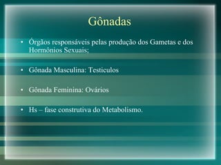 Gônadas Órgãos responsáveis pelas produção dos Gametas e dos Hormônios Sexuais; Gônada Masculina: Testiculos Gônada Feminina: Ovários Hs – fase construtiva do Metabolismo. 