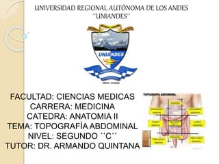 UNIVERSIDAD REGIONAL AUTÓNOMA DE LOS ANDES
´´UNIANDES´´
FACULTAD: CIENCIAS MEDICAS
CARRERA: MEDICINA
CATEDRA: ANATOMIA II
TEMA: TOPOGRAFÍA ABDOMINAL
NIVEL: SEGUNDO ´´C´´
TUTOR: DR. ARMANDO QUINTANA
 