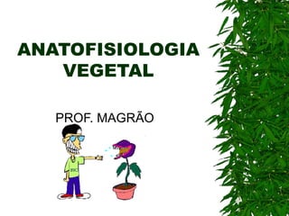 ANATOFISIOLOGIA
   VEGETAL

   PROF. MAGRÃO
 