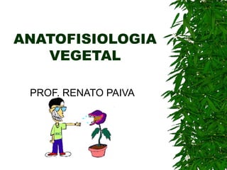 ANATOFISIOLOGIA
VEGETAL
PROF. RENATO PAIVA
 