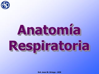 Anatomía
Respiratoria
Enf. Juan M. Ortega - UCE
 