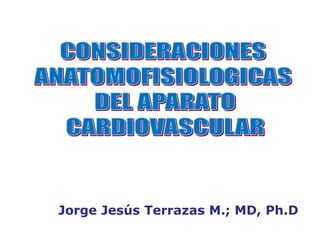 Jorge Jesús Terrazas M.; MD, Ph.D
 